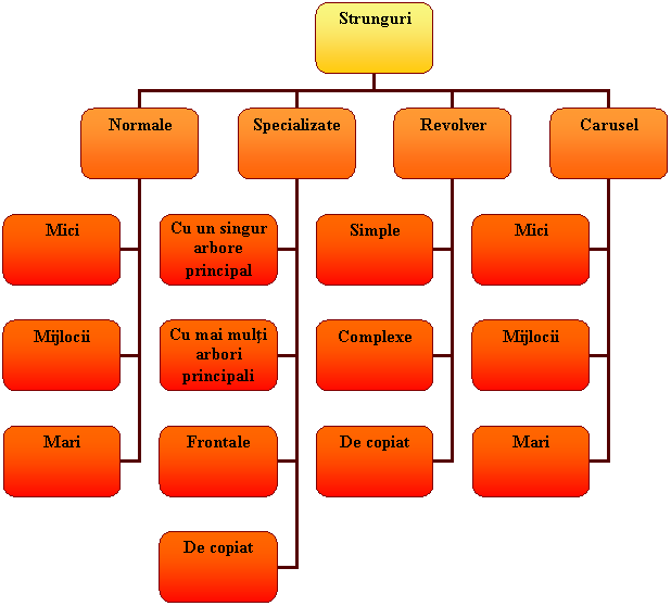 Organization Chart